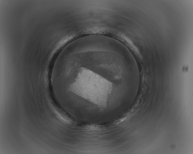 X0000094900250200711291239