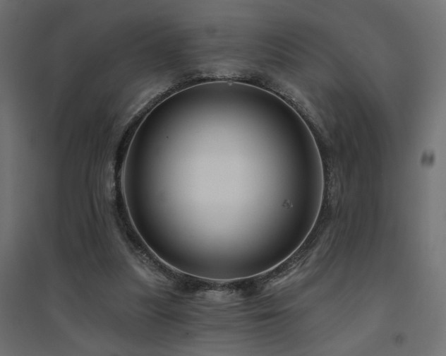 X0000094900251200711291239