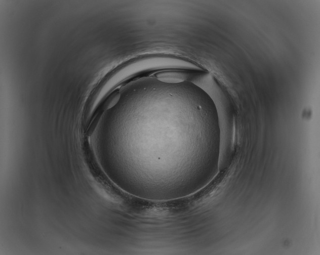 X0000094900252200711291239
