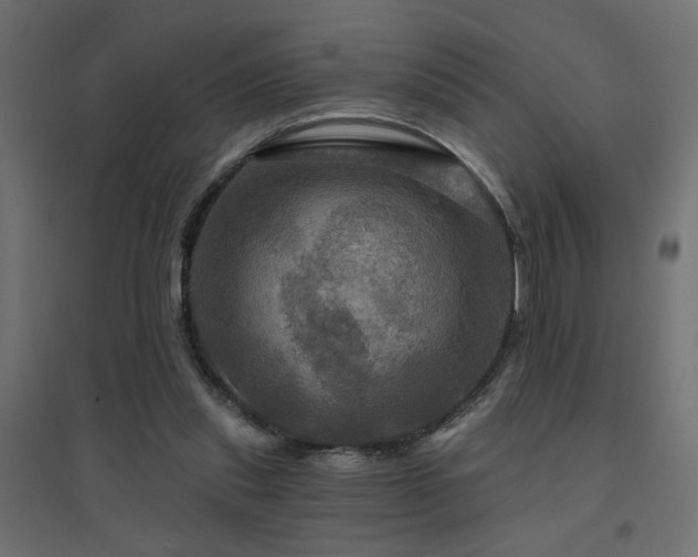 X0000094900253200711291239