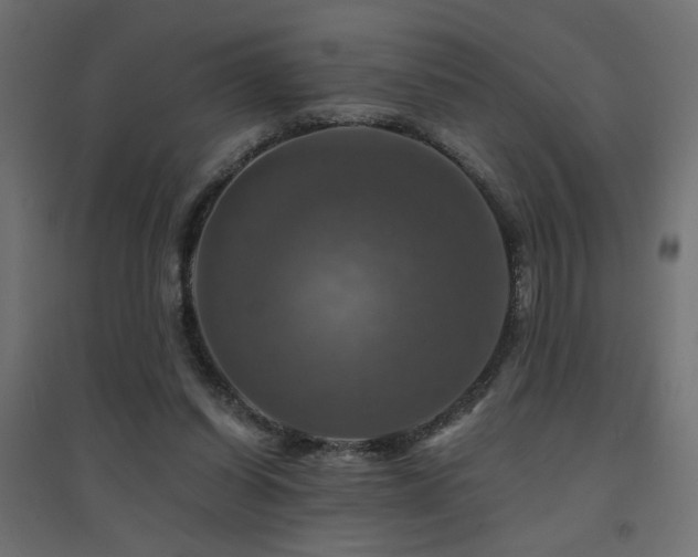 X0000094900254200711291239