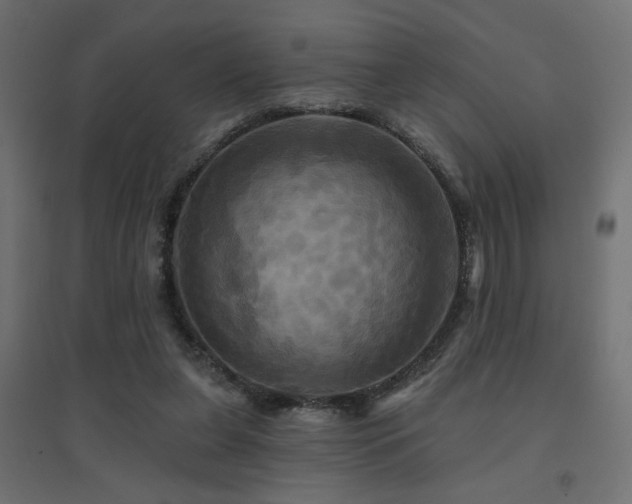 X0000094900255200711291239