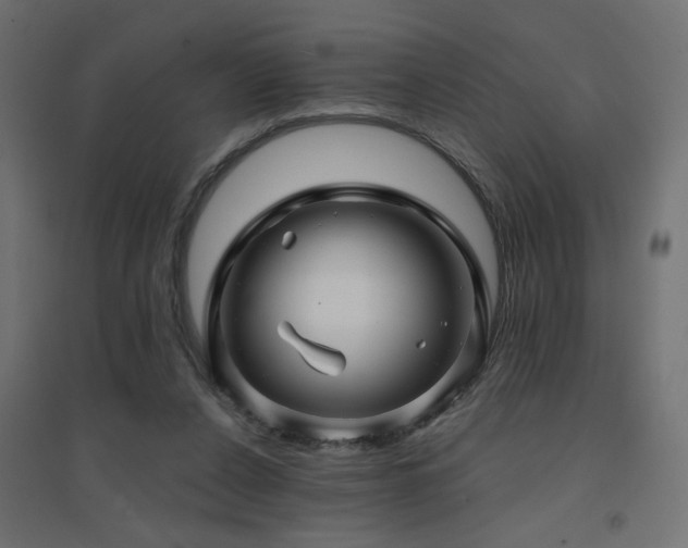 X0000094900256200711291239