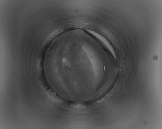 X0000094900258200711291239
