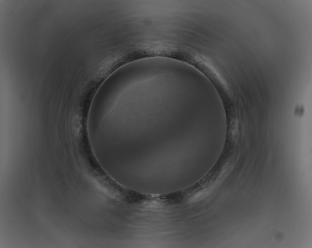 X0000094900259200711291239