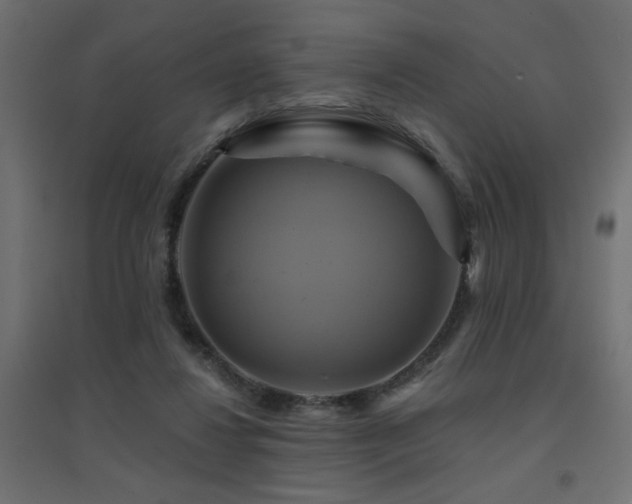 X0000094900260200711291239