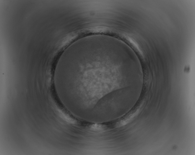 X0000094900261200711291239