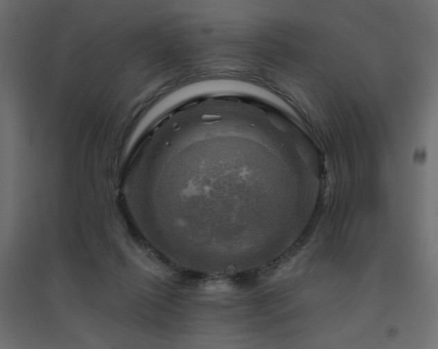 X0000094900262200711291239