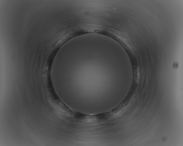 X0000094900263200711291239