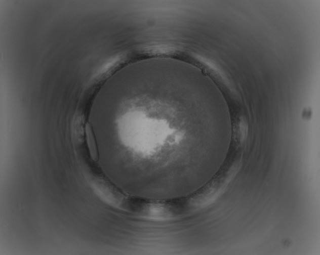 X0000094900264200711291239