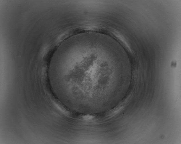 X0000094900265200711291239