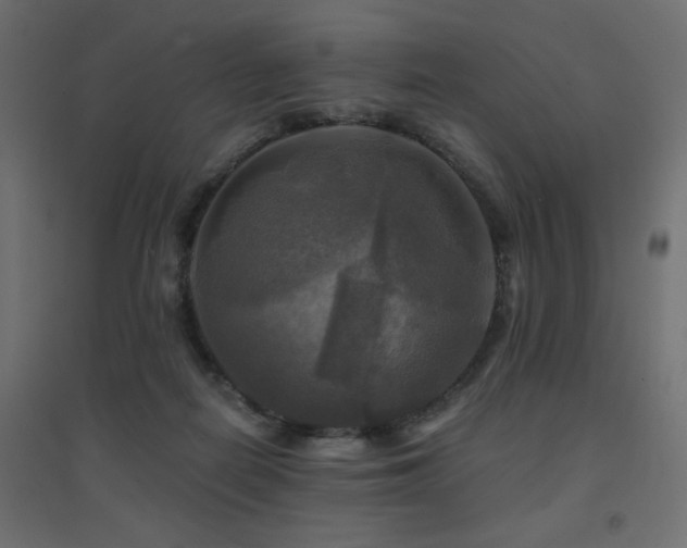 X0000094900266200711291239