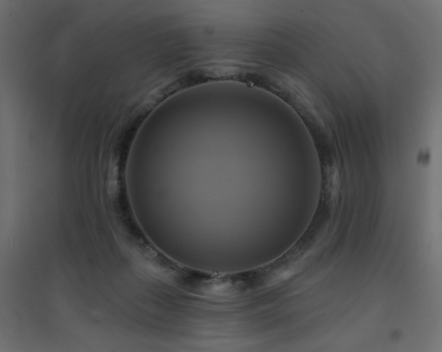 X0000094900267200711291239