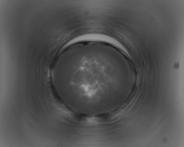 X0000094900268200711291239