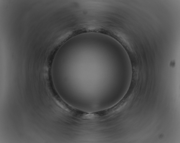 X0000094900269200711291239