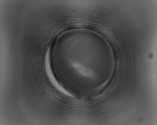 X0000094900270200711291239