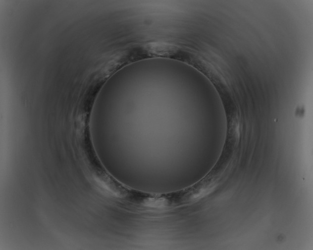 X0000094900271200711291239