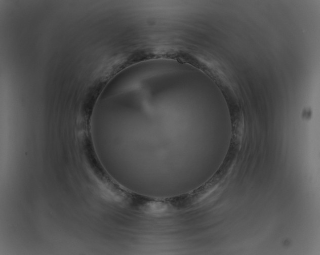 X0000094900272200711291239