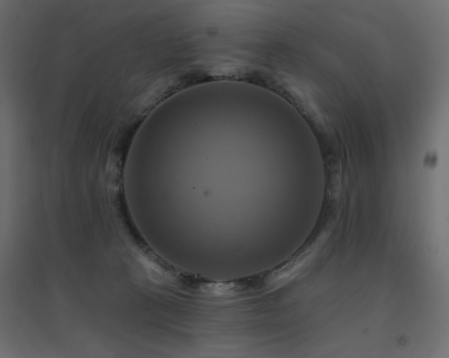 X0000094900273200711291239
