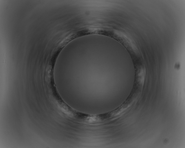 X0000094900275200711291239