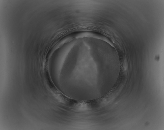 X0000094900276200711291239