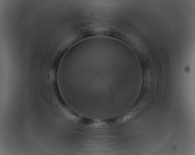 X0000094900278200711291239