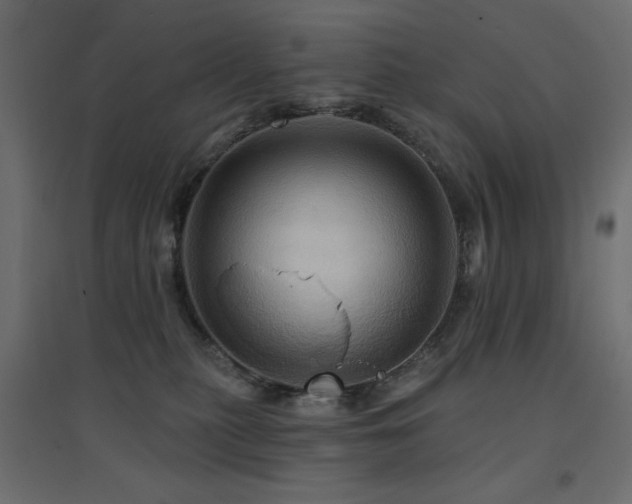 X0000094900279200711291239