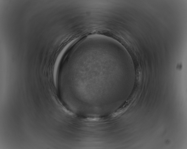 X0000094900280200711291239
