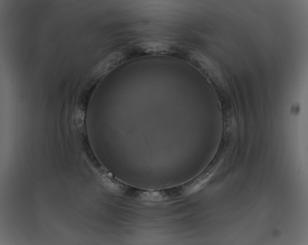X0000094900281200711291239