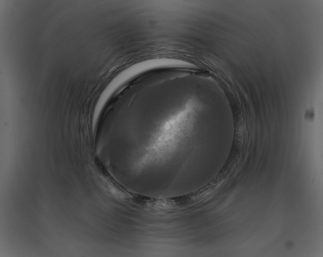 X0000094900282200711291239