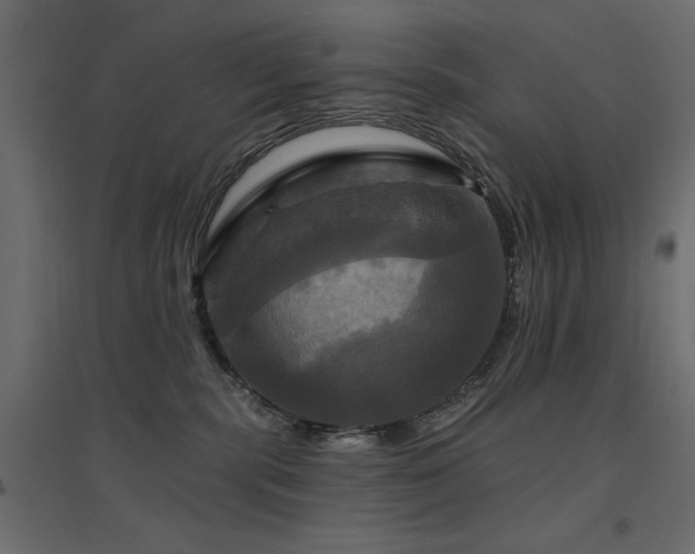 X0000094900283200711291239