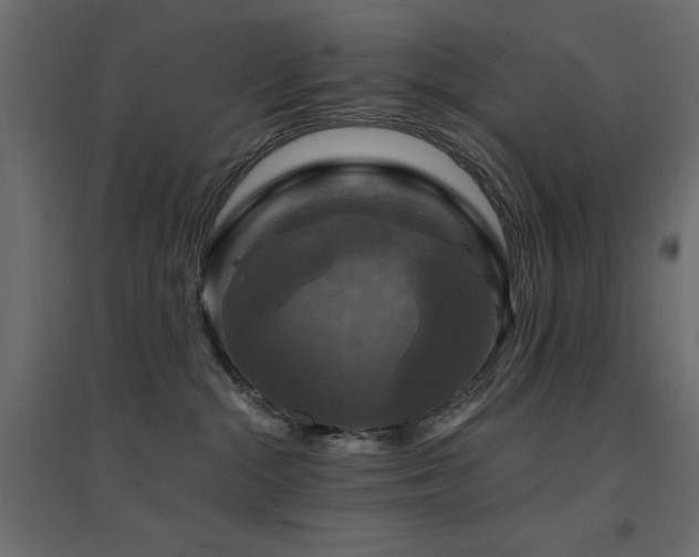X0000094900284200711291239