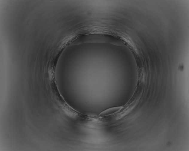 X0000094900285200711291239