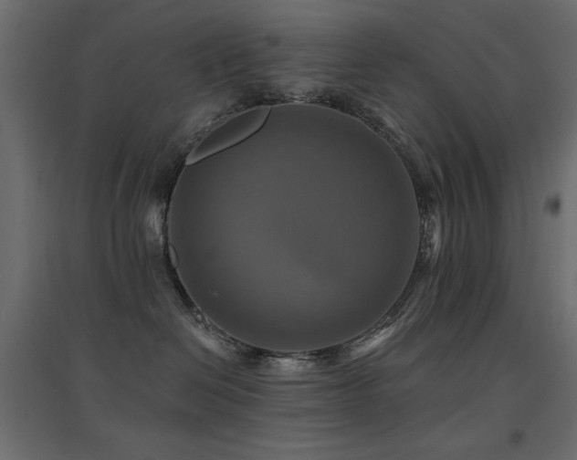 X0000094900286200711291239