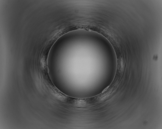X0000094900287200711291239