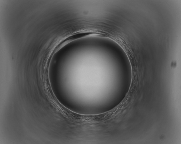 X0000094900289200711291239