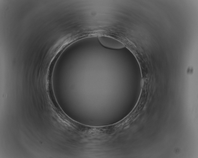 X0000094900290200711291239