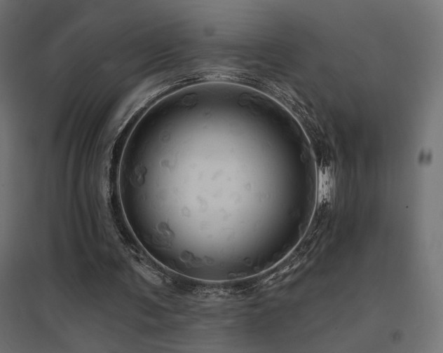 X0000094900291200711291239