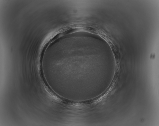 X0000094900293200711291239