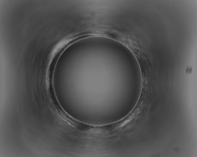 X0000094900294200711291239
