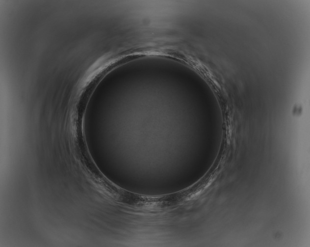 X0000094900295200711291239