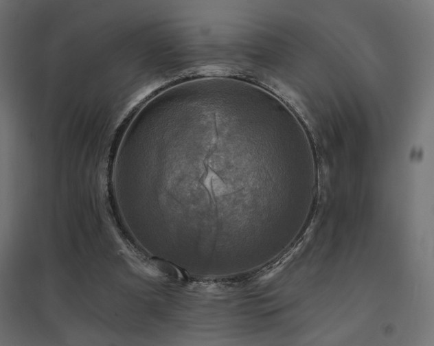 X0000094900297200711291239