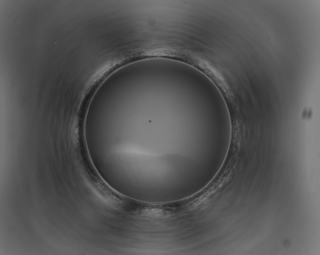 X0000094900298200711291239