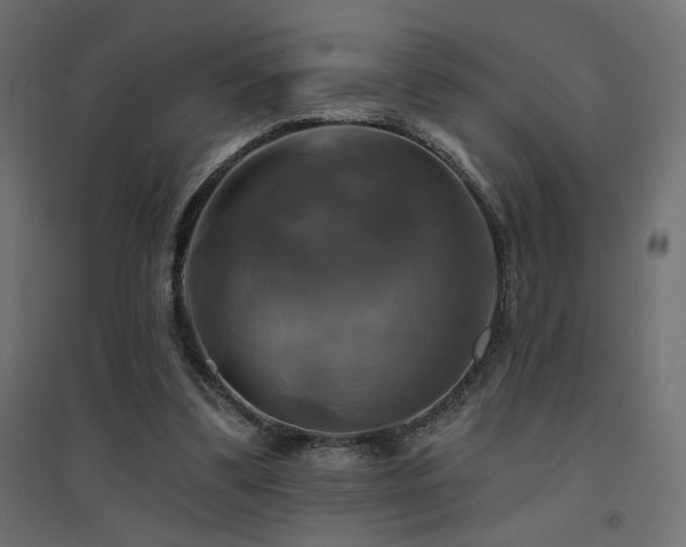 X0000094900299200711291239