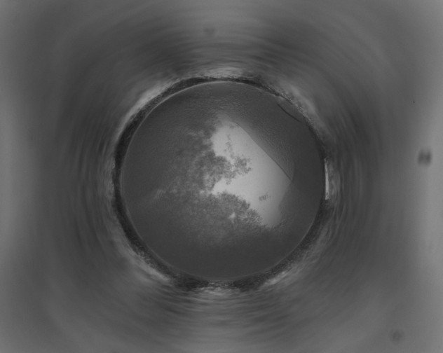 X0000094900300200711291239