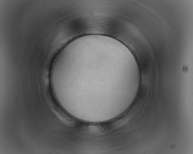 X0000094900302200711291239