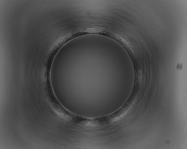 X0000094900303200711291238