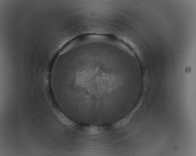 X0000094900305200711291238