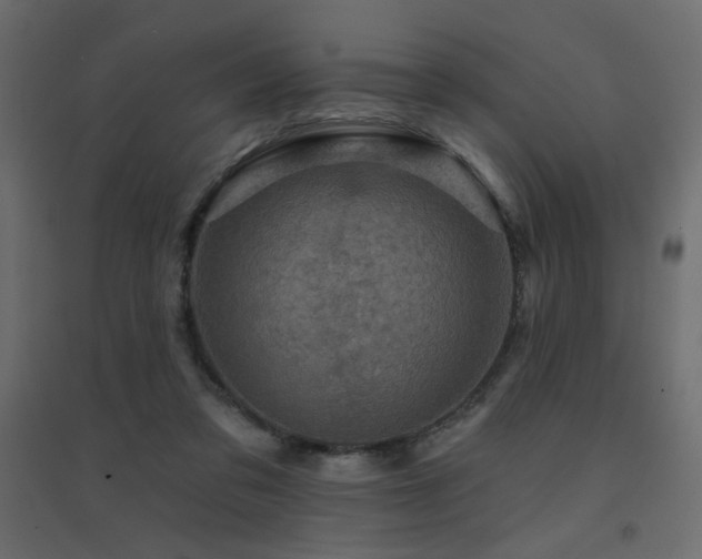 X0000094900309200711291238