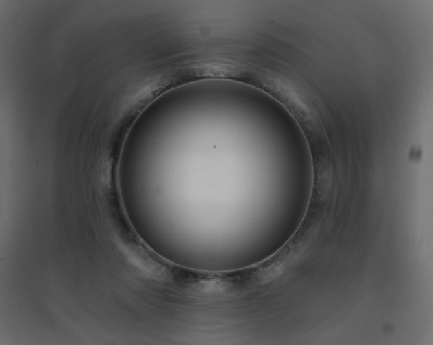 X0000094900310200711291238